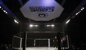 Enhancing Your Fight Night Experience Through Strategic Betting